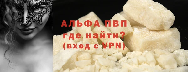 шишки Пересвет