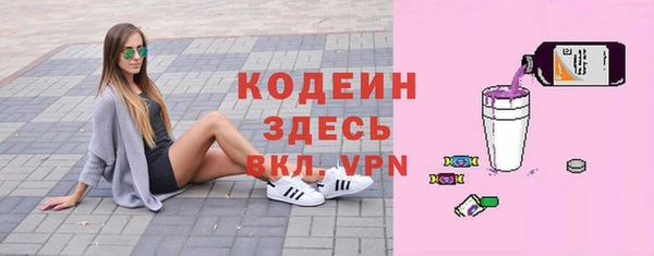 шишки Пересвет